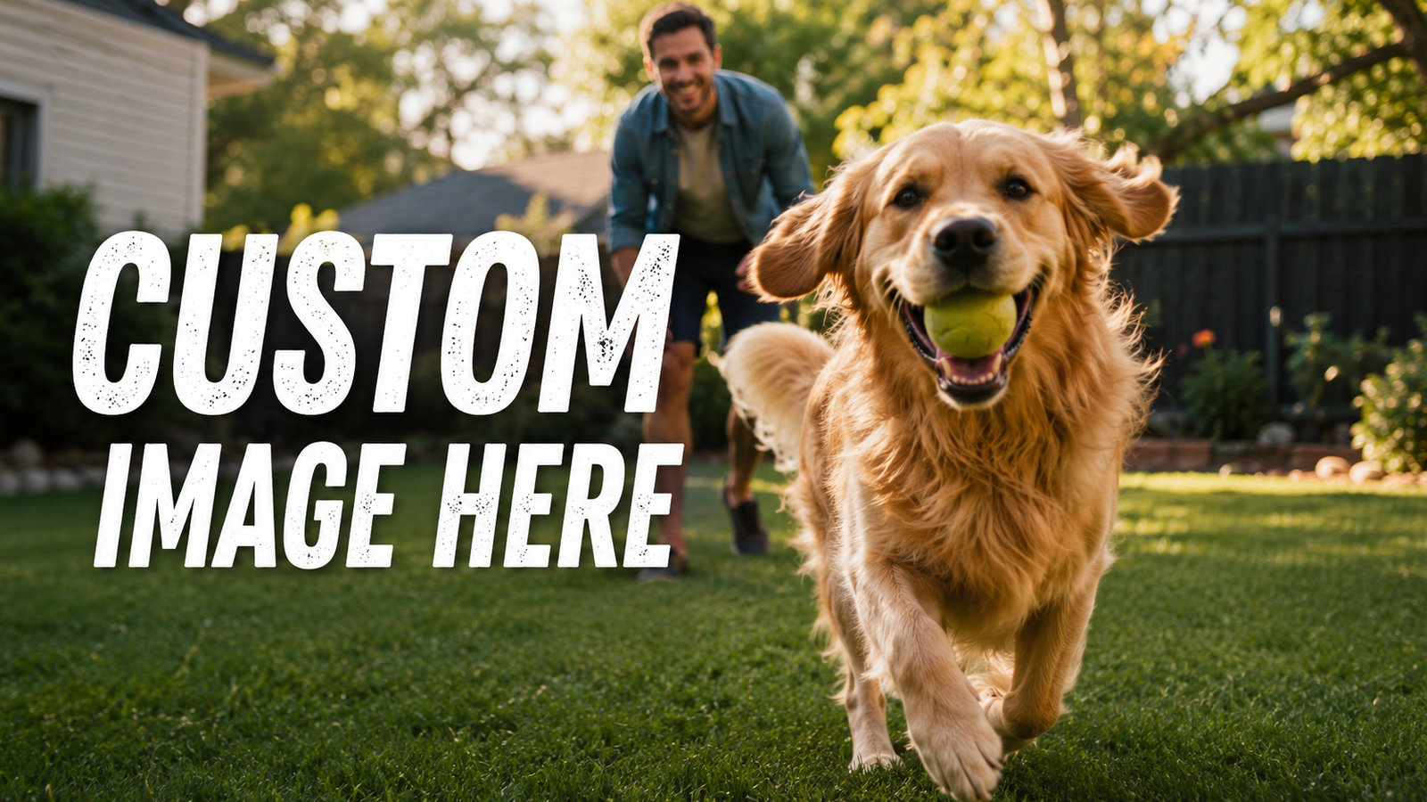 Original photo of golden retriever playing fetch